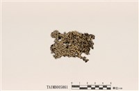 藏品(臺灣歧根梅衣)的圖片